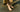 Person wearing Birkenstock Gizeh toe post sandals in beige styled for casual everyday outdoor wear