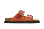 option-color:#FF9555,text-color:#000000,alt:Vibrant Orange