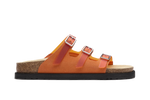 option-color:#FF9555,text-color:#000000,alt:Vibrant Orange