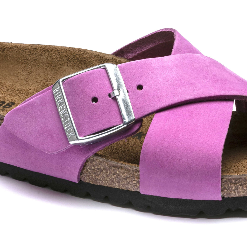 Elevato Basics Women Purple Pink Heels  Buy Elevato Basics Women Purple  Pink Heels Online at Best Price  Shop Online for Footwears in India   Flipkartcom